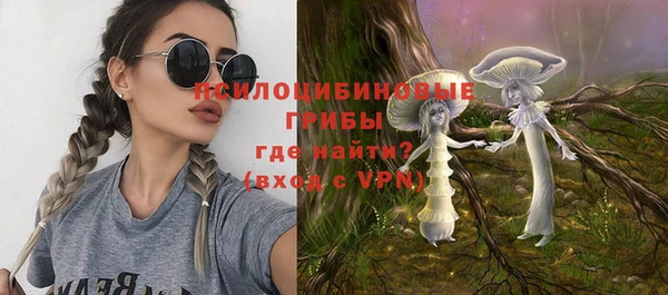 шишки Абаза