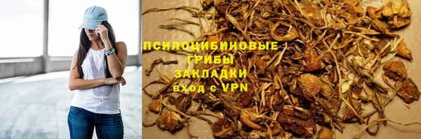 ешки Алзамай
