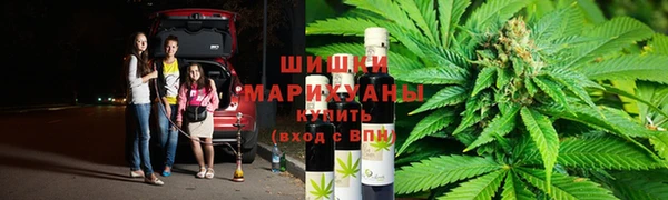 ешки Алзамай